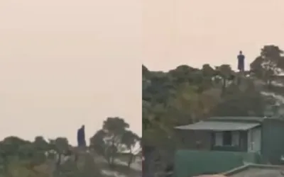 A Giant spotted in Brazil? Locals shocked as viral video raises more questions than answers