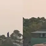 A Giant spotted in Brazil? Locals shocked as viral video raises more questions than answers