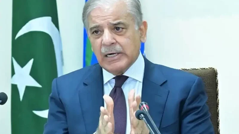 PM calls for sustainable agro-industry policy to counter climate change