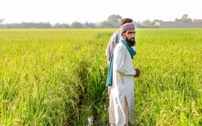 Govt to provide agricultural loans to farmers on easy terms