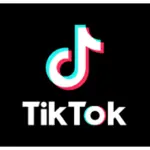 Customs officer video goes viral on TikTok
