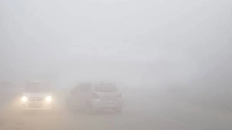 Fog forces closure of several motorway sections across Punjab