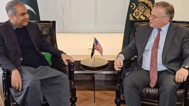 Naqvi bids farewell to US Ambassador Donald Blome