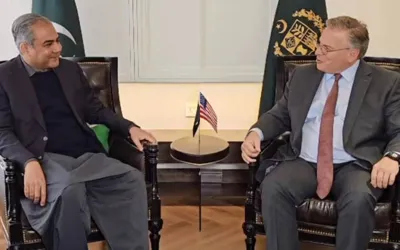 Naqvi bids farewell to US Ambassador Donald Blome