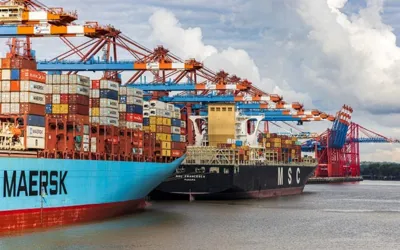 UN predicts global economic growth to remain at 2.8% in 2025