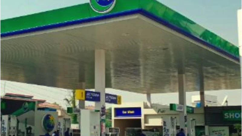 PSO