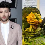 Zayn Malik celebrates 32nd birthday with uniquely horror "Last of Us" cake