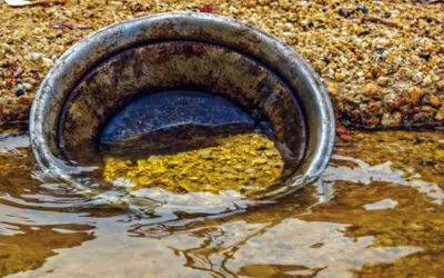 PHC imposes ban on use of mercury in gold mining