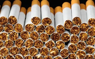 Pakistan's Tobacco Exports Witness 103.65% Surge
