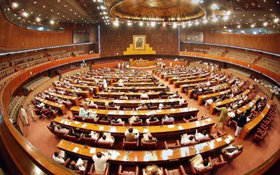 National Assembly unanimously passes PECA law