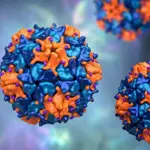 Sindh districts report polio virus in sewage samples