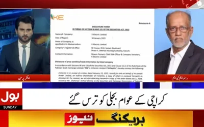 K-Electric and KMC have destroyed Karachi, says MQM