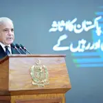 PM Shehbaz praises overseas Pakistanis, announces blue passports