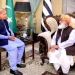 PM Shehbaz Sharif holds key meeting with Maulana Fazlur Rehman