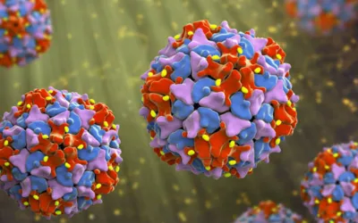 Poliovirus ‘detected’ in Azad Kashmir’s sewage