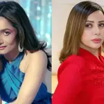 Ankita Lokhande faces defamation lawsuit for calling Rozlyn Khan 'cheap'