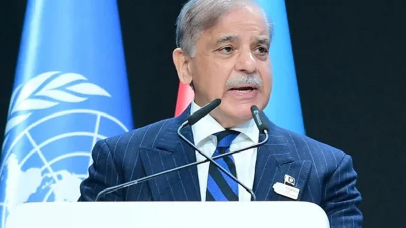 PM Shehbaz leads Pakistan’s push for climate change action