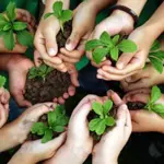 Ministry of Climate Change, PEMRA sign MoU to promote environmental awareness