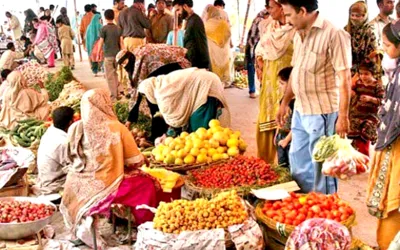 Vegetable prices drop by 50% ahead of Ramadan