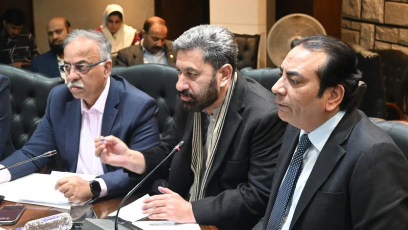 'Diamer Bhasha Dam victims deserve legitimate rights and compensation'