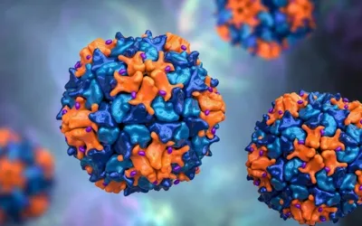 Poliovirus samples detected in 16 European countries