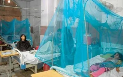 Malaria, Dengue cases increase across Sindh