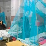 Malaria, Dengue cases increase across Sindh