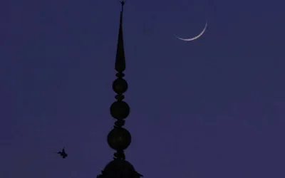 Eid-ul-Fitr likely to be celebrated on March 31: PMD