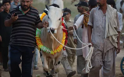 Eidul Adha 2024: How many holiday to expect