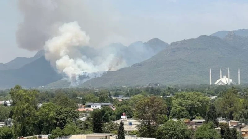 Bid to conceal murder crime leads fire on Margalla Hills