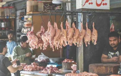 Chicken prices increase in Pakistan