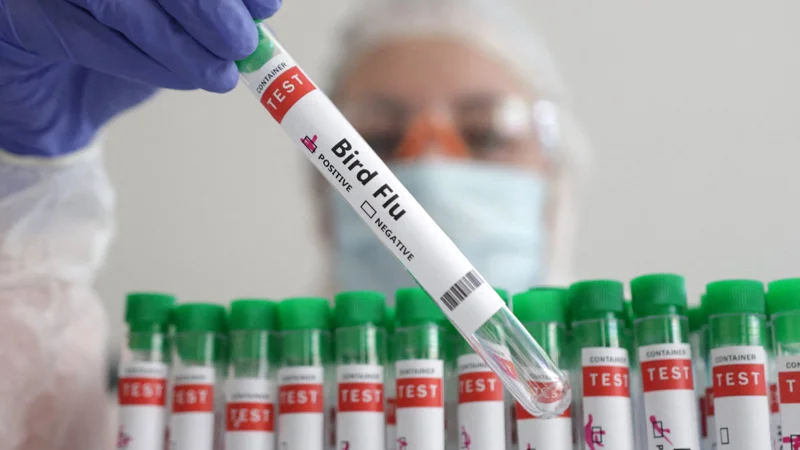 WHO confirms first human fatality from H5N2 Bird flu