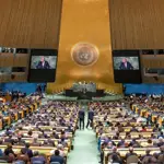 Pakistan elected as non-permanent member of UN Security Council