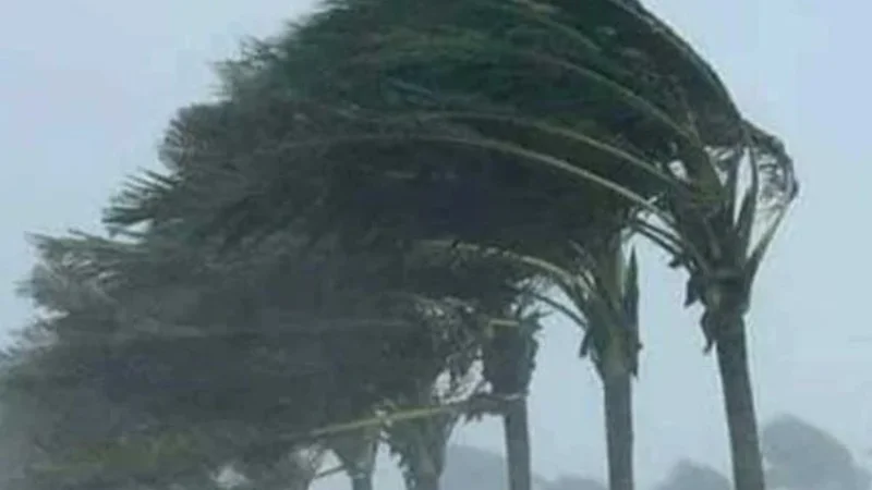 New spell of wind-dust-thunderstorm from today