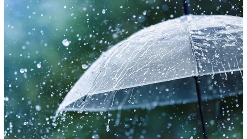 Eid-ul-Adha 2024 weather Update: Rain to bring relief on Eid