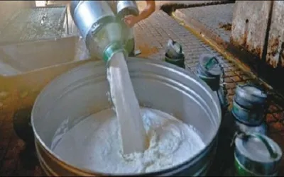 Milk price in Karachi increased by Rs20 to Rs220 per litre