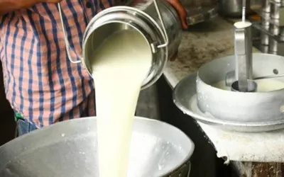 Milk price increase in Karachi - check new rates here