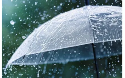 Pakistan Monsoon Forecast: When to Expect Rain?