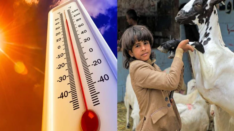 Eid Ul Adha Weather Forecast: Hot Conditions Expected for All Three Days