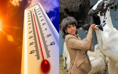 Eid Ul Adha Weather Forecast: Hot Conditions Expected for All Three Days