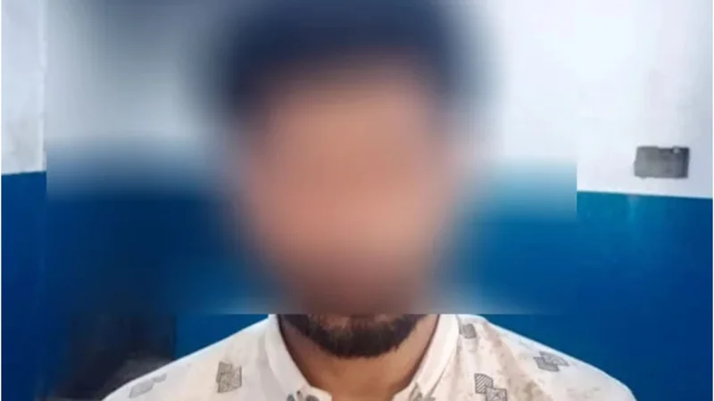 Police arrest fraudster pretending to be ‘advisor’