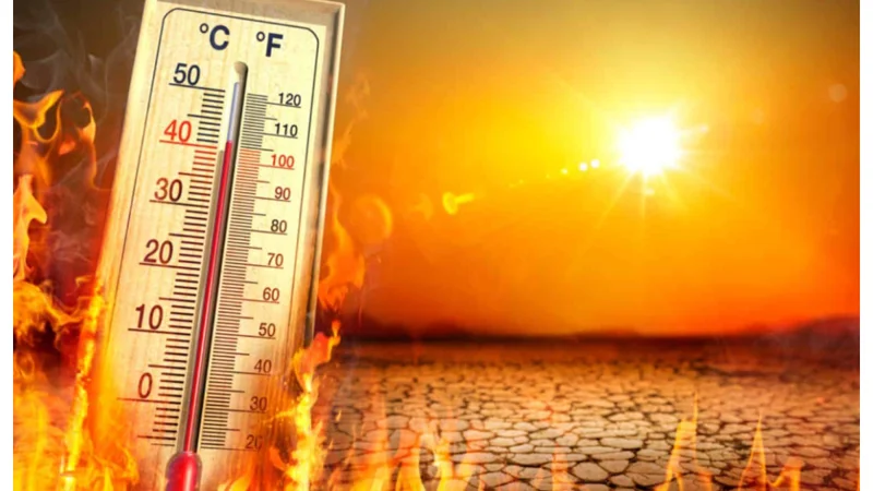 Karachi Heatwave Alert: Heatstroke Signs, Emergency Care & Prevention Advice