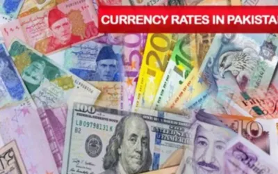 Currency Rates in Pakistan – Euro, Dollar, Pound on June 26, 2024