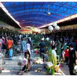 Punjab Govt to Launch Model Bazaar App with Free Delivery!