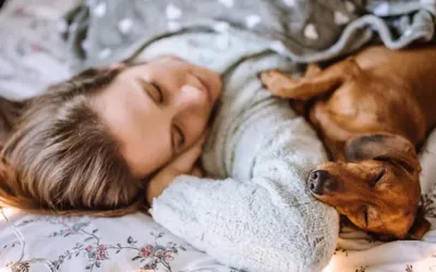 Millions of people sleep with pets despite potential risks
