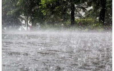 Heavy rains expected in Peshawar, Khyber Pakhtunkhwa