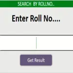 Punjab Board Matric Results 2024 - Check Result By Name, Roll Number