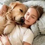 New study raises concerns over sleeping with pets