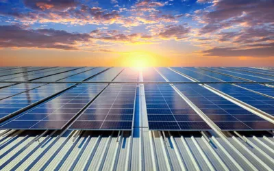 Punjab Govt: Solar Panel Loans Eligible for Only Tax Filers!