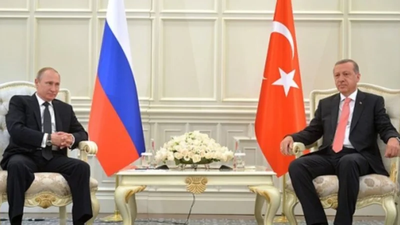 Turkiye's Erdogan raises concerns over potential NATO-Russia clash